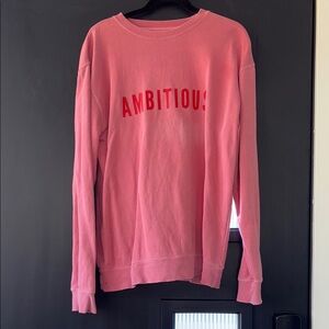 Ambitious Pink Crew Neck Sweater